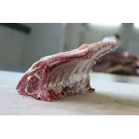 Halal Meat Lamb Mutton